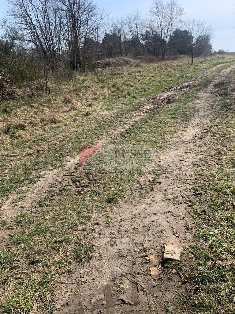 Działka Sprzedaż Świeszewo 15