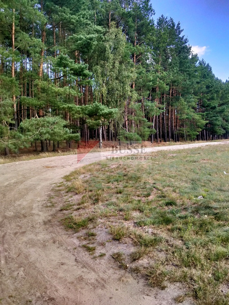 Działka Sprzedaż Tanowo Szczecińska