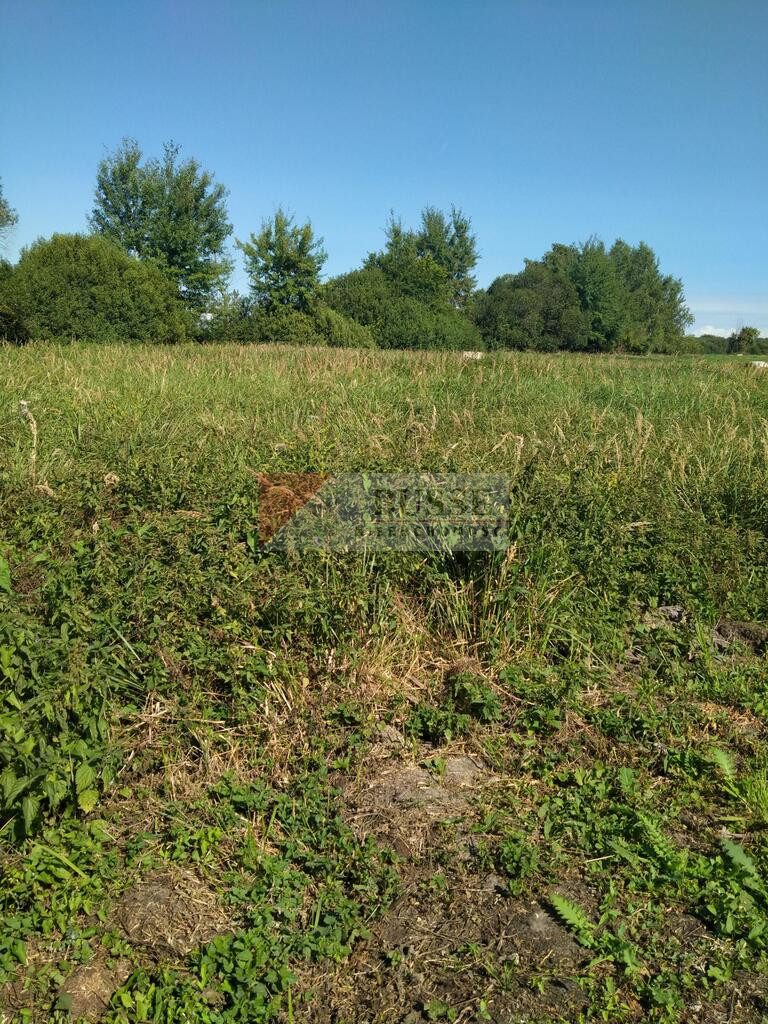 Działka Sprzedaż Wołczkowo