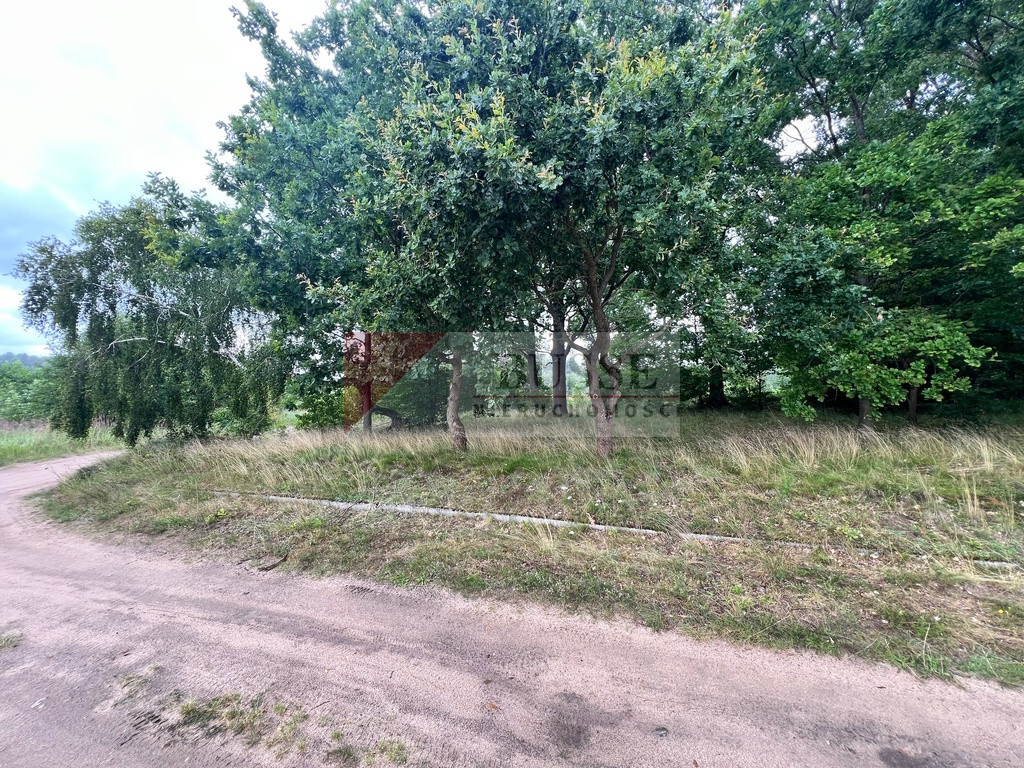 Działka Sprzedaż Storkowo 3