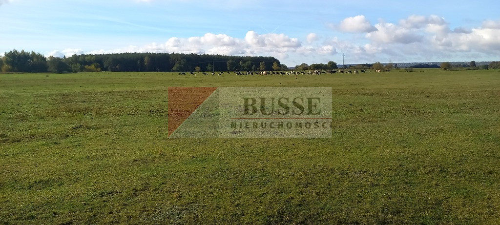Działka Sprzedaż Borzysławiec