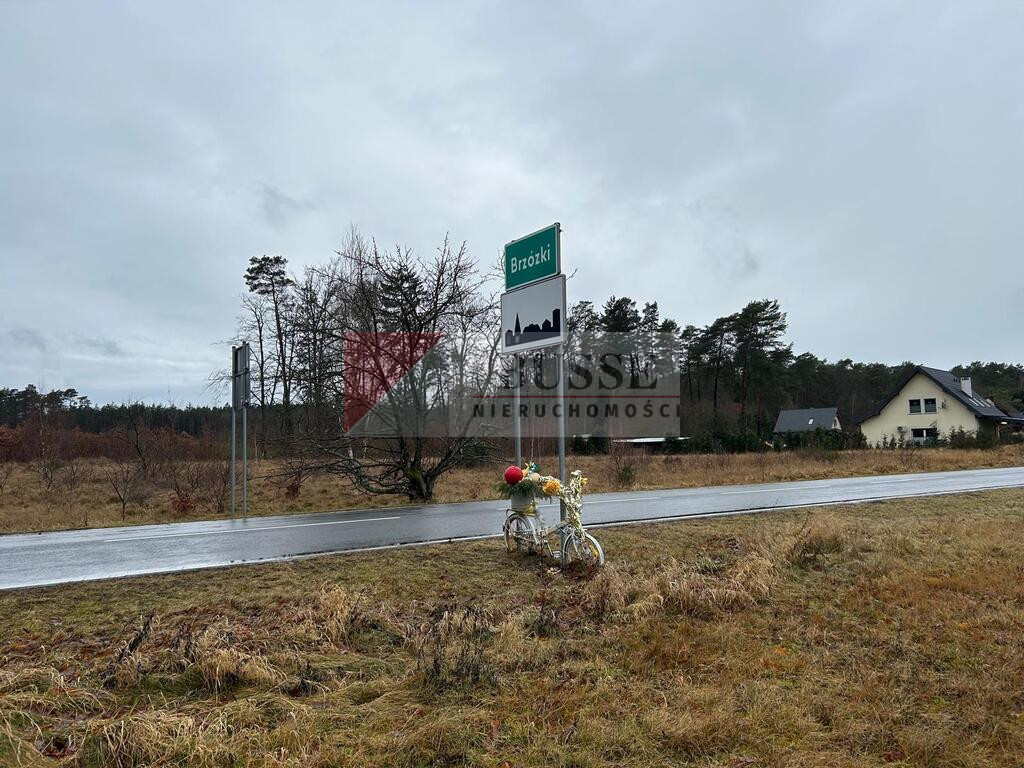 Działka Sprzedaż Brzózki