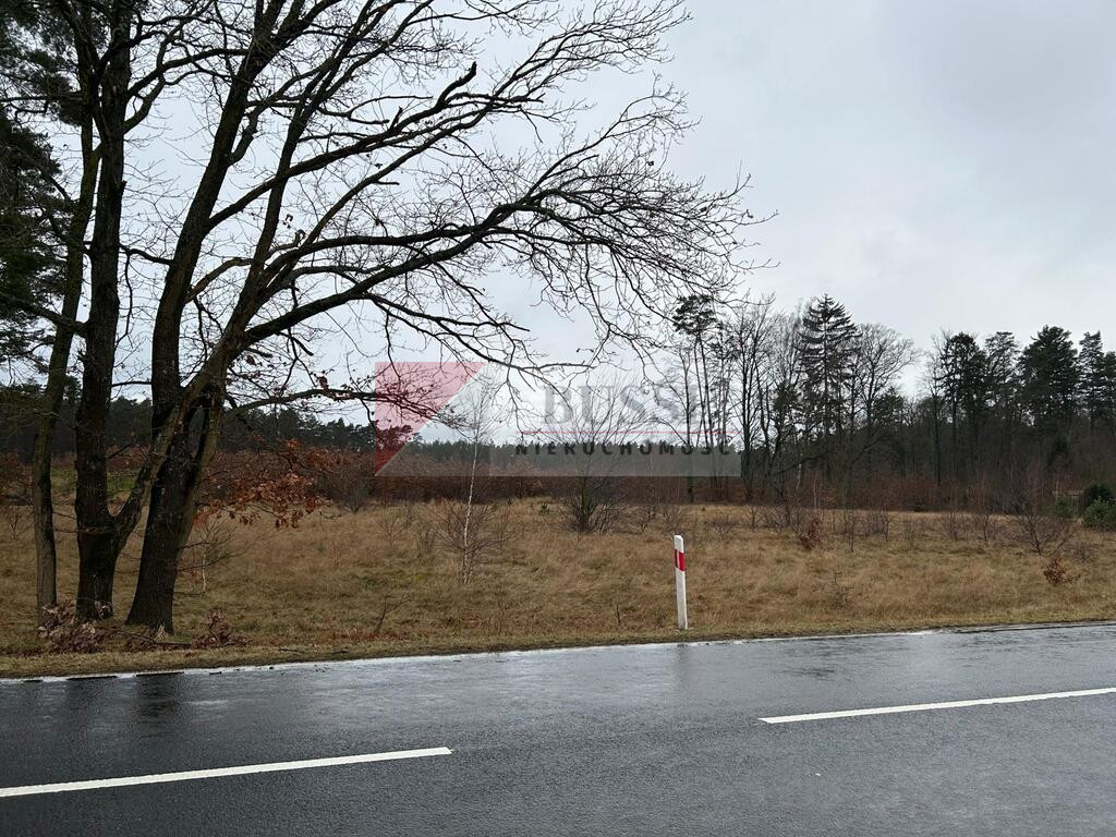 Działka Sprzedaż Brzózki