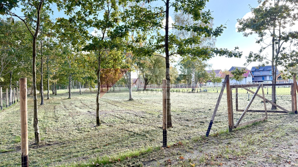 Działka Sprzedaż Niechorze 65