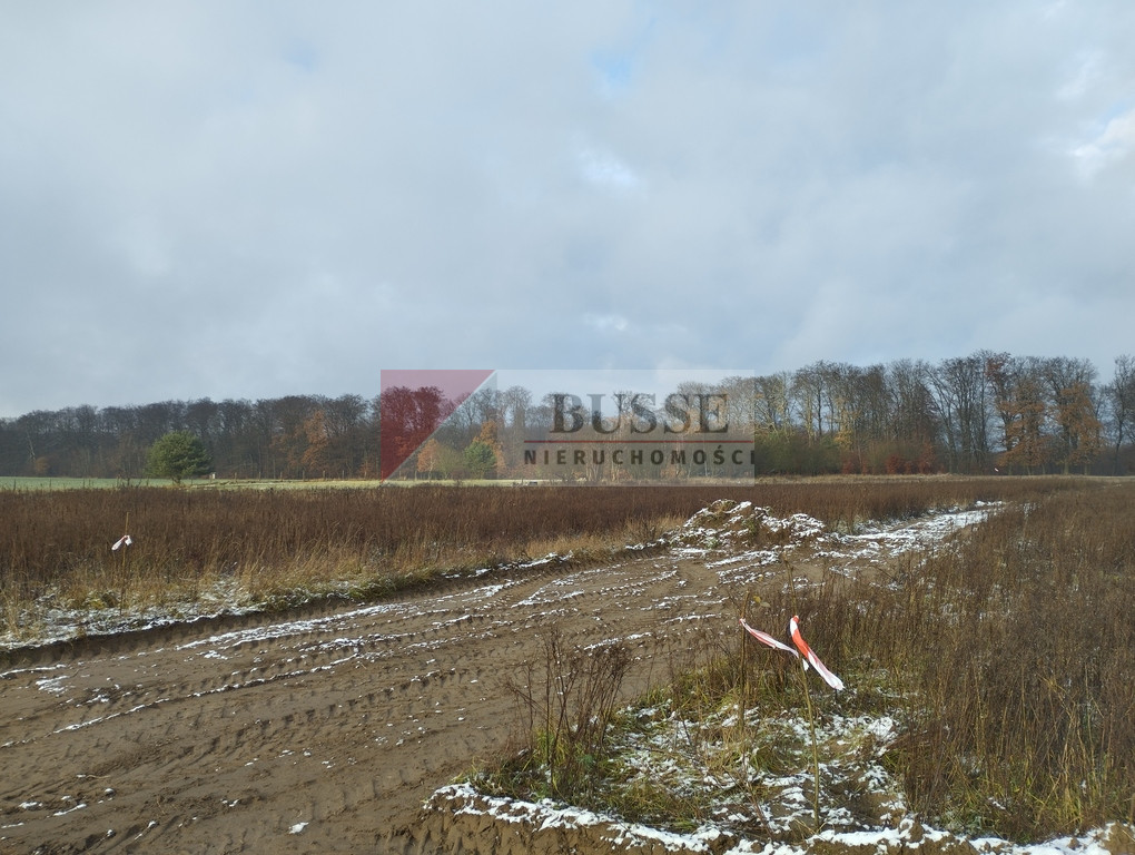 Działka Sprzedaż Dobropole Gryfińskie