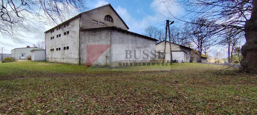 Obiekt Sprzedaż Budno 10