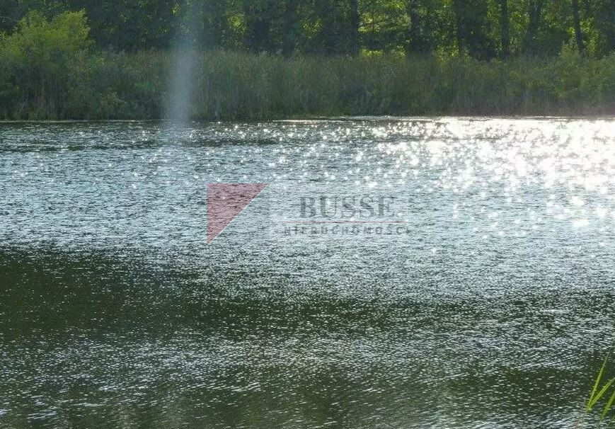 Działka Sprzedaż Zieleniewo 7
