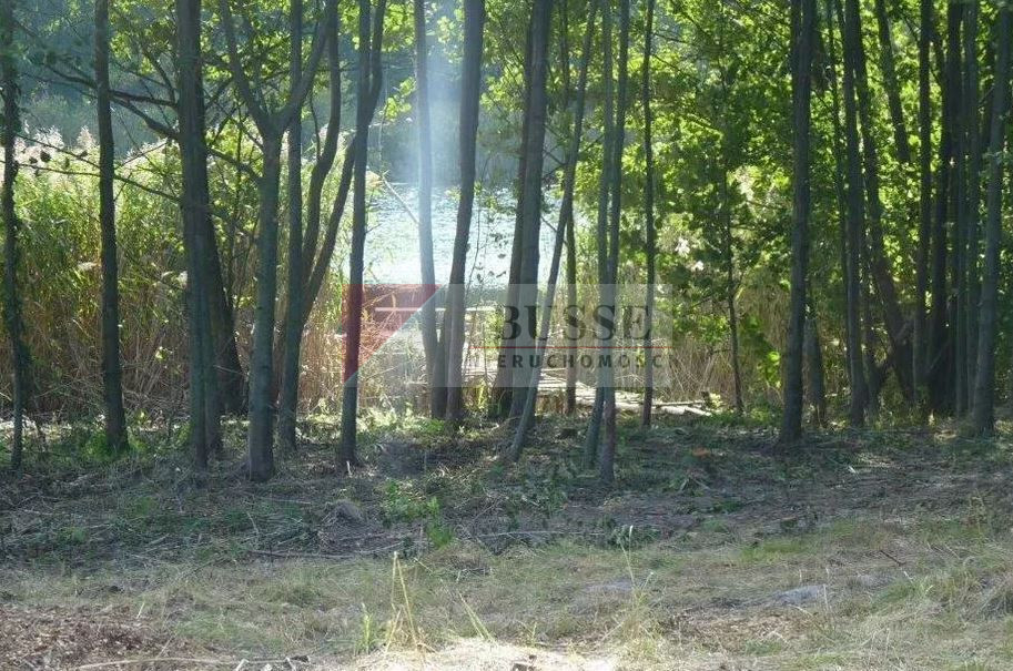 Działka Sprzedaż Zieleniewo