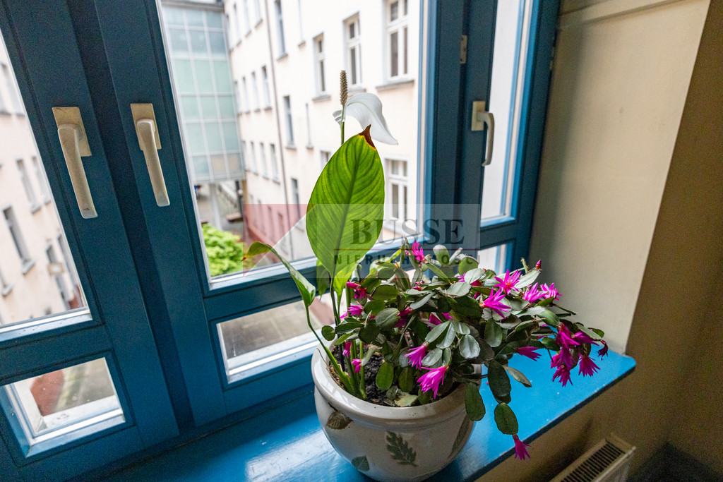 Mieszkanie Sprzedaż Szczecin Śródmieście Pocztowa