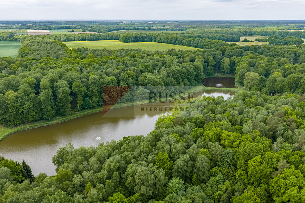 Działka Sprzedaż Wisławie 9