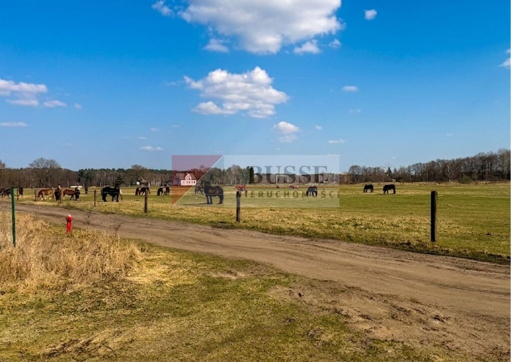 Działka Sprzedaż Białuń Jarzębinowa 8