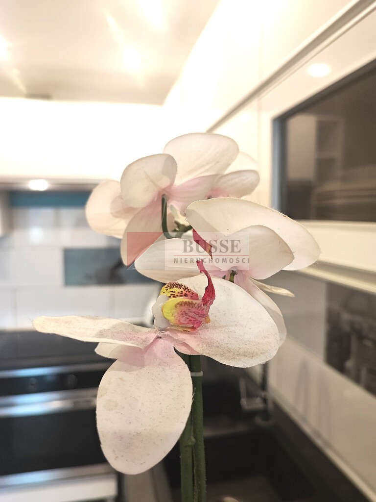 Mieszkanie Sprzedaż Stargard os.&nbsp;gen. Józefa Hallera 8