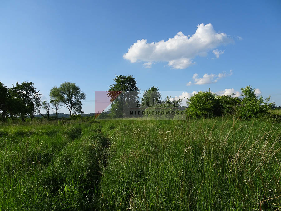 Działka Sprzedaż Binowo