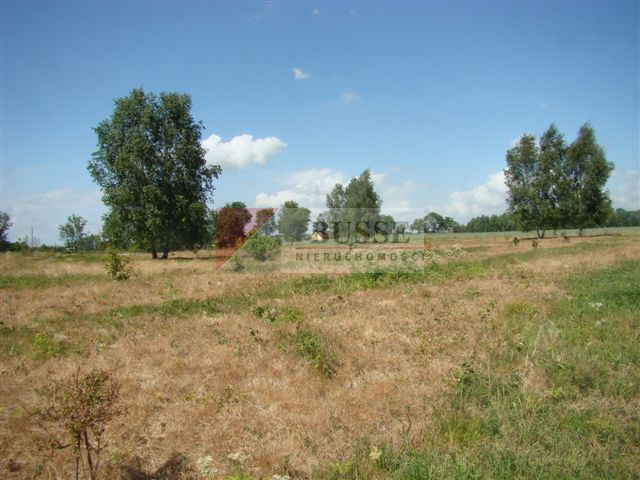 Działka Sprzedaż Stargard 8