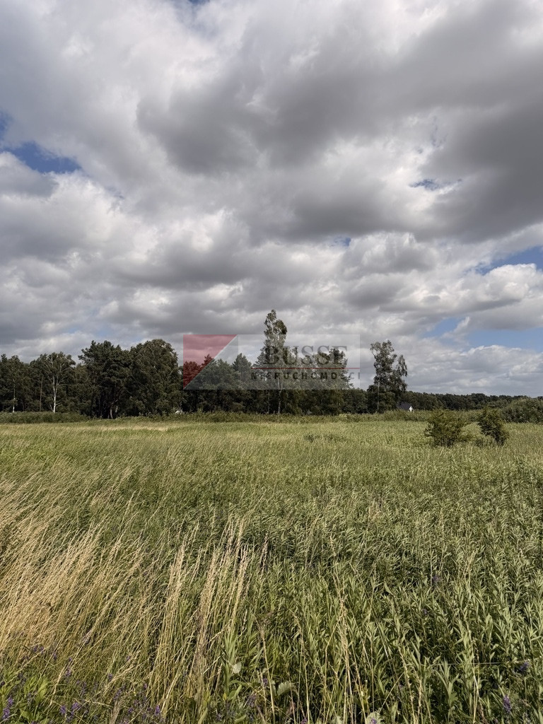 Działka Sprzedaż Niedźwiedź 8