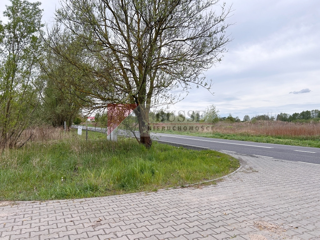 Działka Sprzedaż Szczecin Dąbie Lubczyńska 4