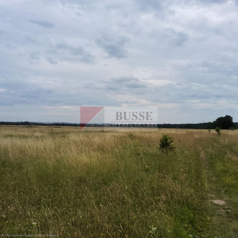Działka Sprzedaż Buk 3