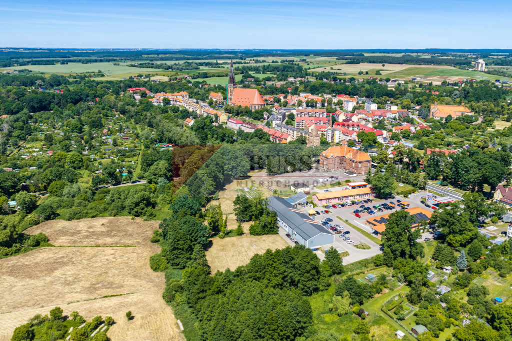 Działka Sprzedaż Chojna 3