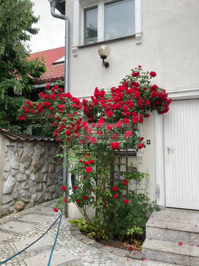 Dom Sprzedaż Wolin 34