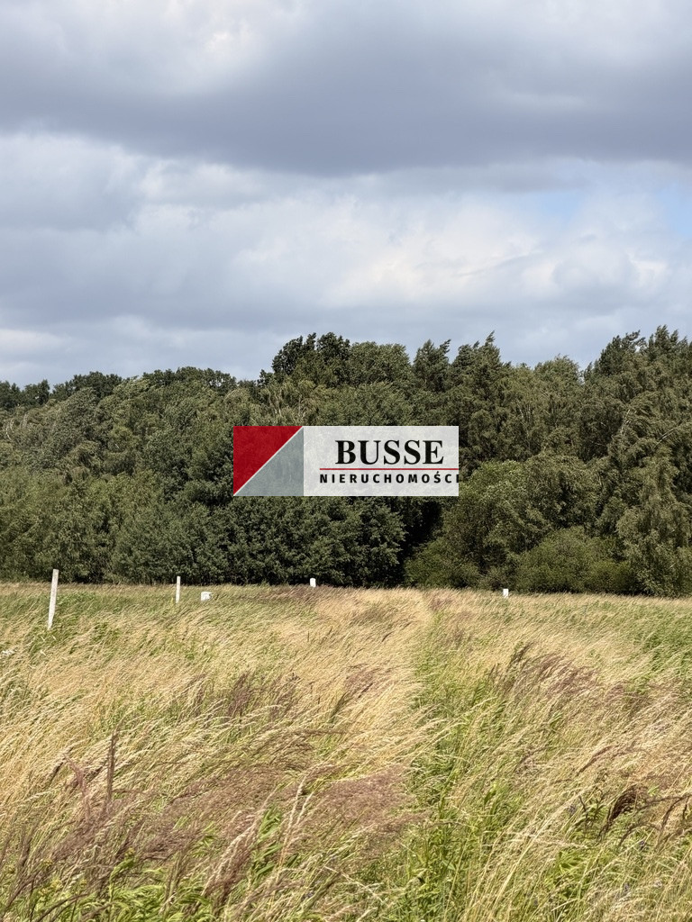 Działka Sprzedaż Niedźwiedź
