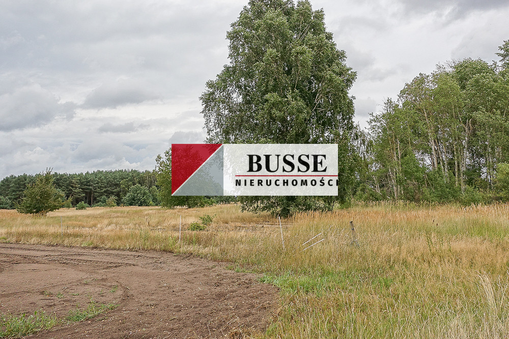 Działka Sprzedaż Lubczyna Kasztanowa 16