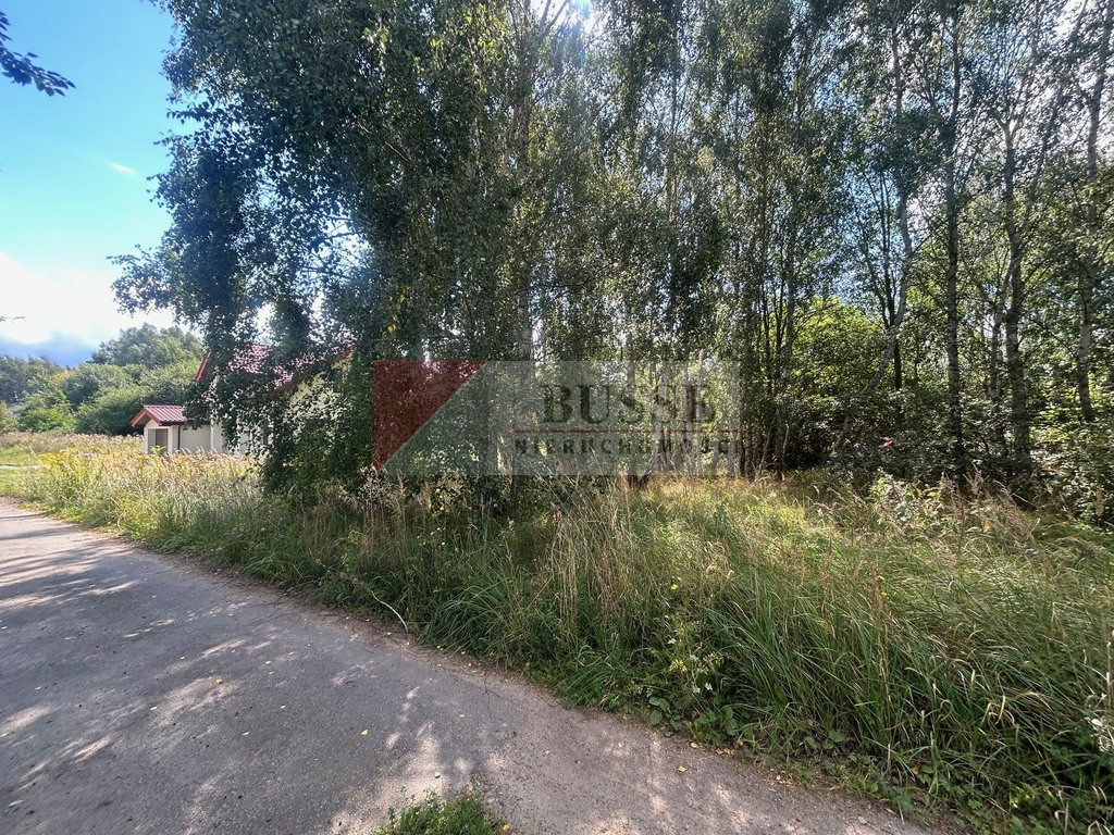 Działka Sprzedaż Dołuje 3