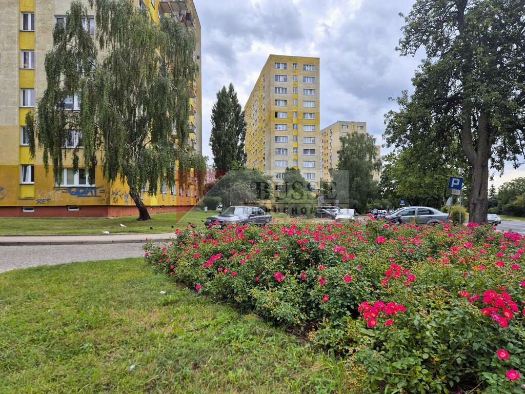 Mieszkanie Sprzedaż Szczecin Świerczewo Hieronima Derdowskiego 7