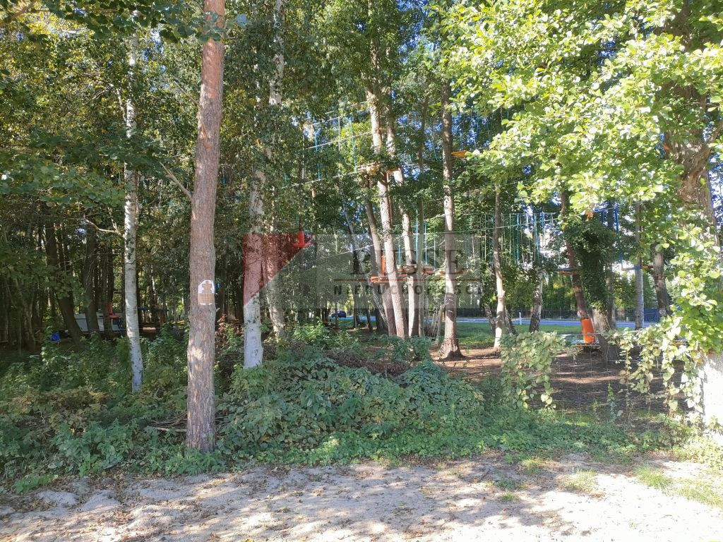 Działka Sprzedaż Międzywodzie Szkolna 6