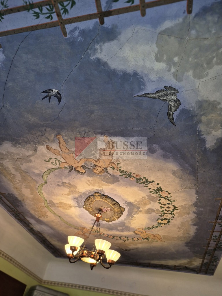 Dom Sprzedaż Lisie Pole 9