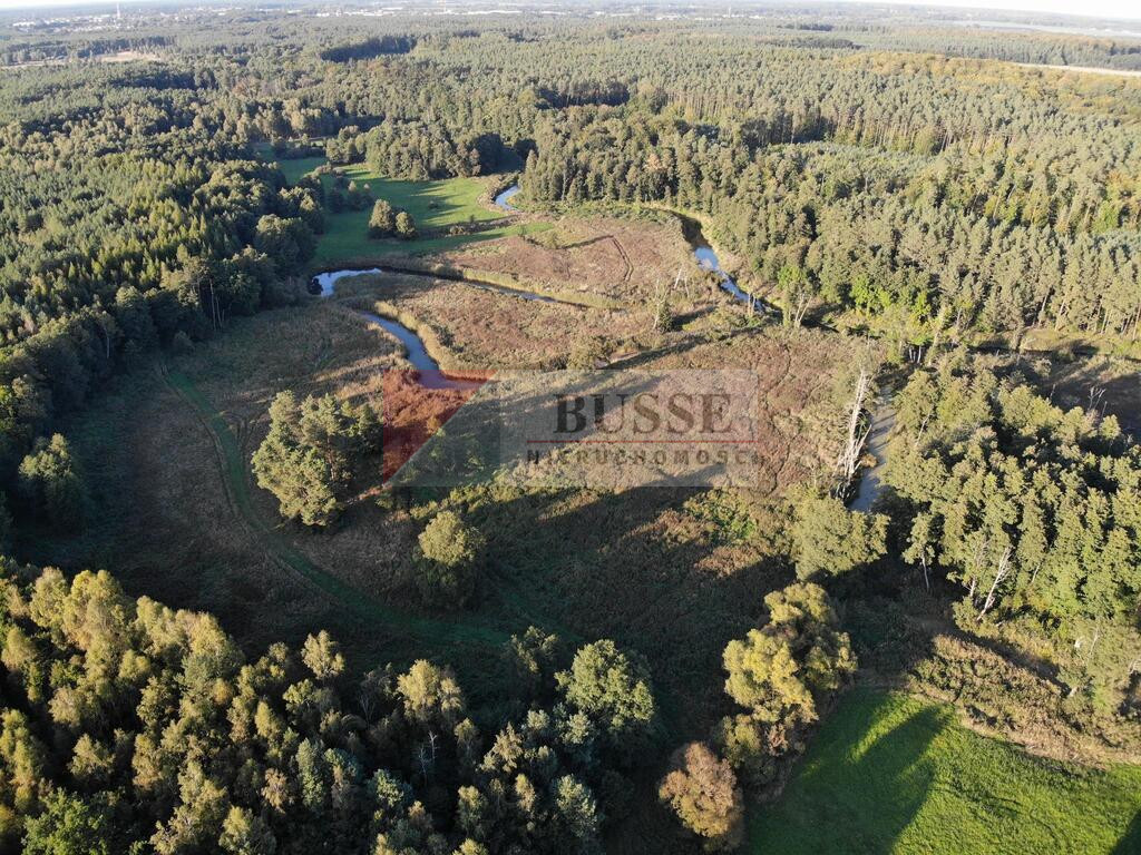 Działka Sprzedaż Goleniów 1