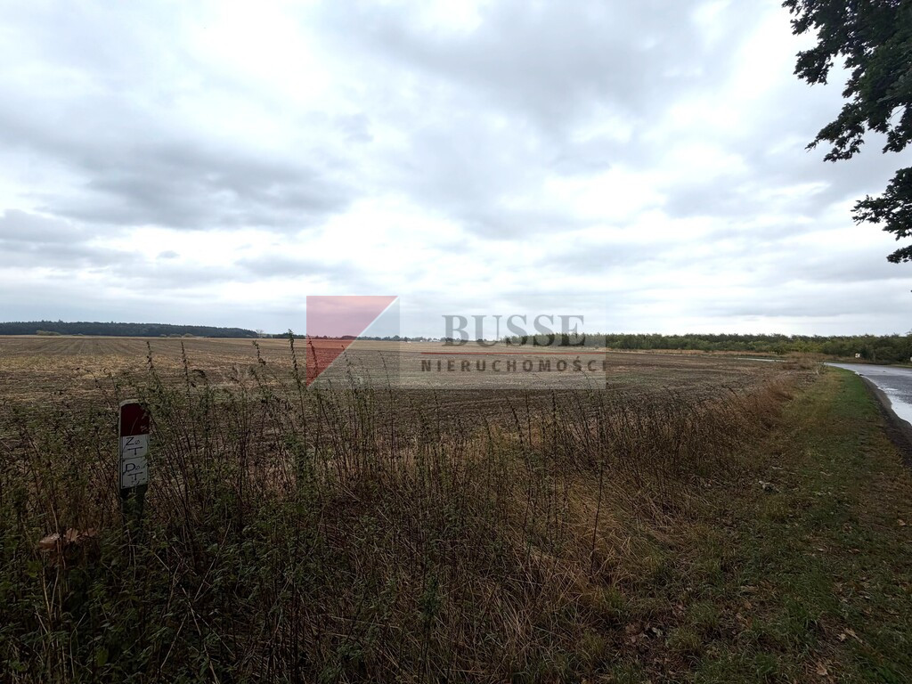 Działka Sprzedaż Pyrzyce Czerwonomłyńska 2