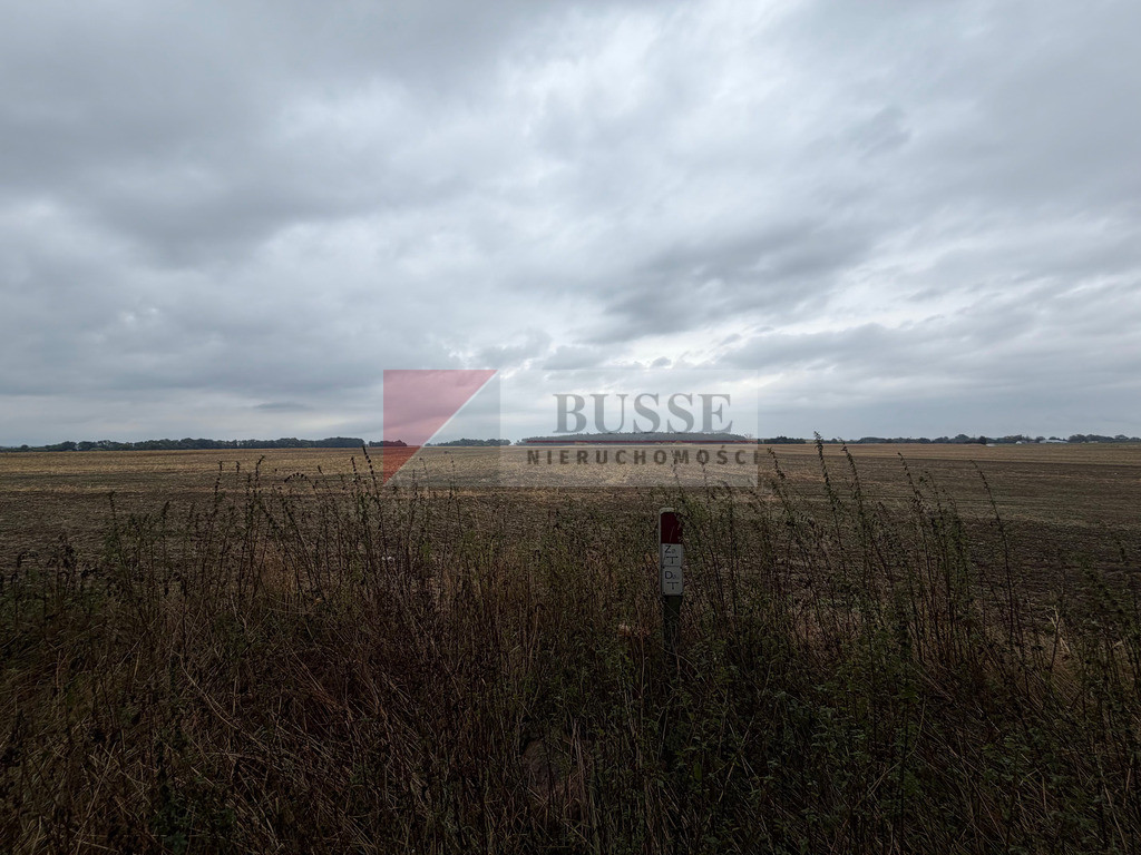Działka Sprzedaż Pyrzyce Czerwonomłyńska 5