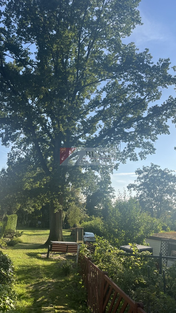 Dom Sprzedaż Stolec 23