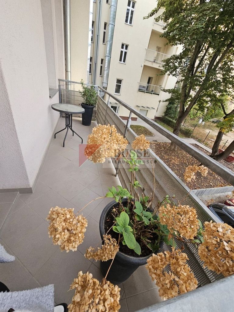 Mieszkanie Wynajem Szczecin Śródmieście-Centrum Księcia Bogusława X 4