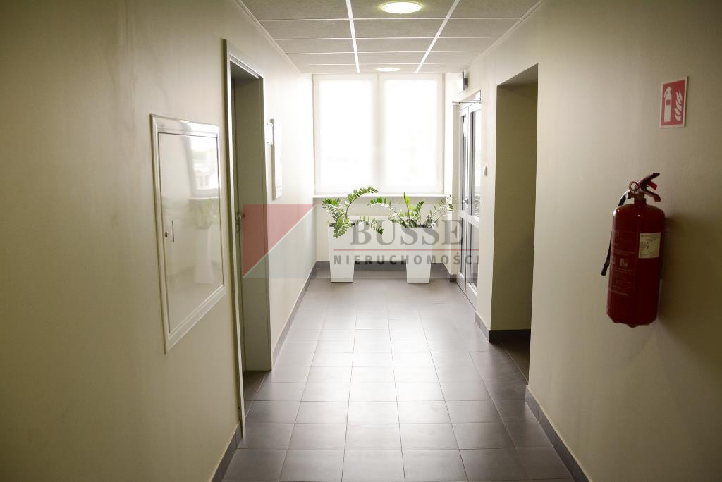 Lokal Wynajem Szczecin Śródmieście 9