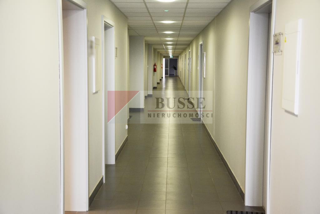Lokal Wynajem Szczecin Śródmieście 10