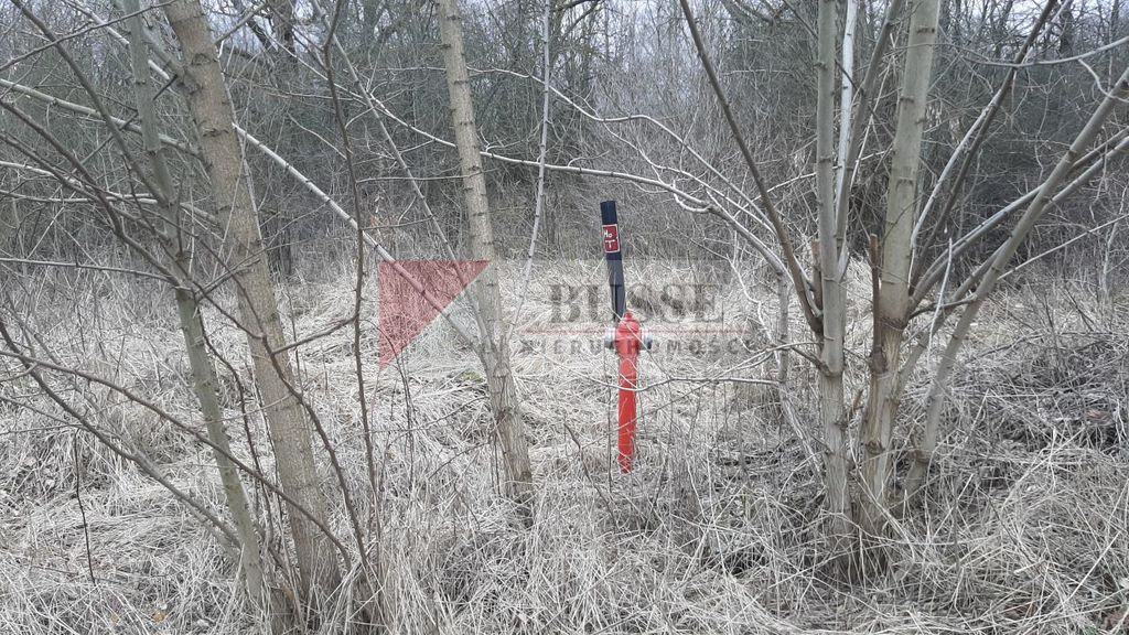 Działka Sprzedaż Karwowo 6