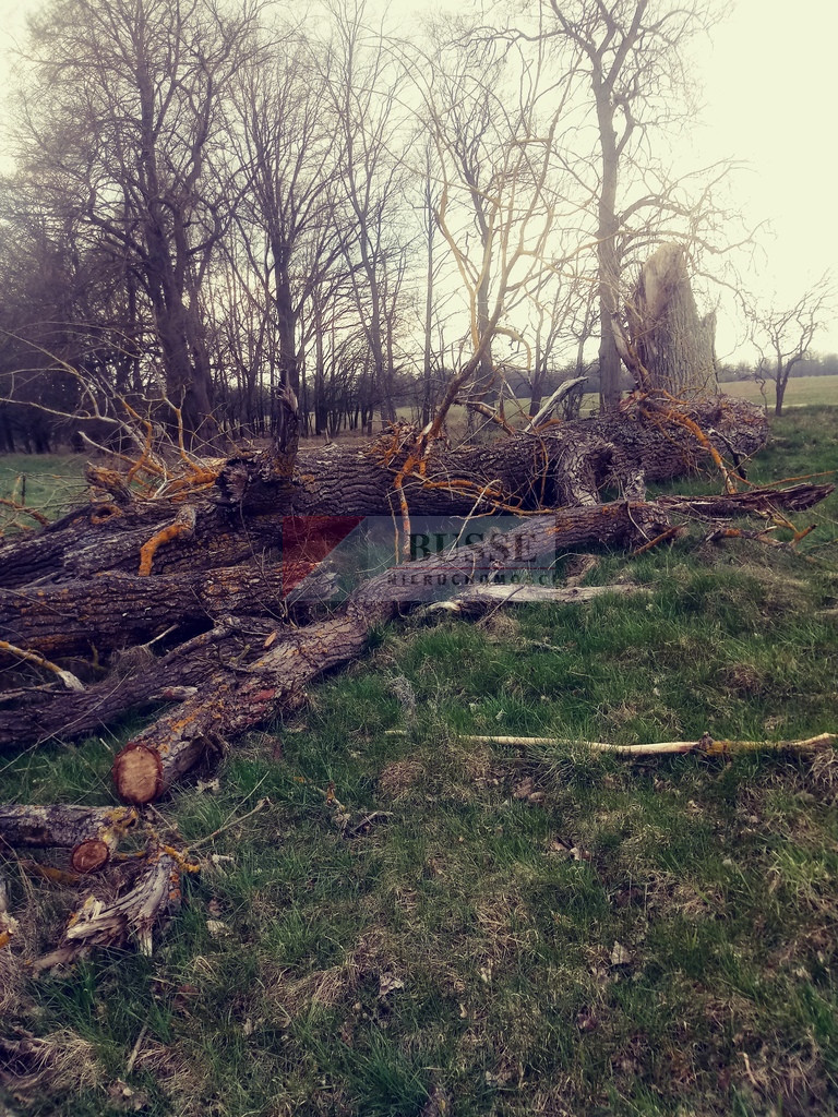 Działka Sprzedaż Łęgi 5