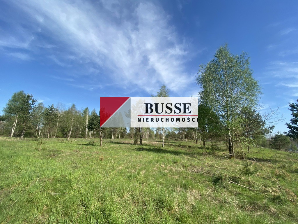 Działka Sprzedaż Lubieszewo 6