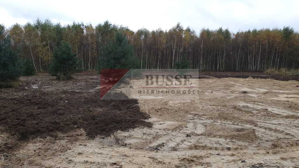 Działka Sprzedaż Borzyszewo 1