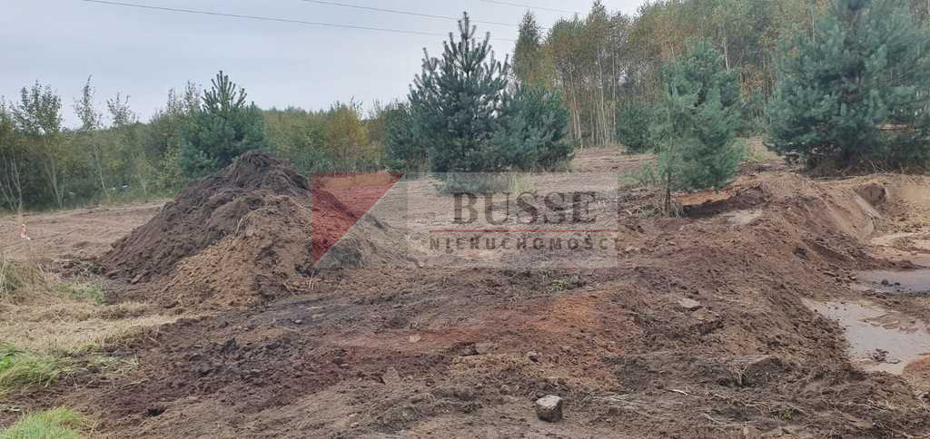 Działka Sprzedaż Borzyszewo 10