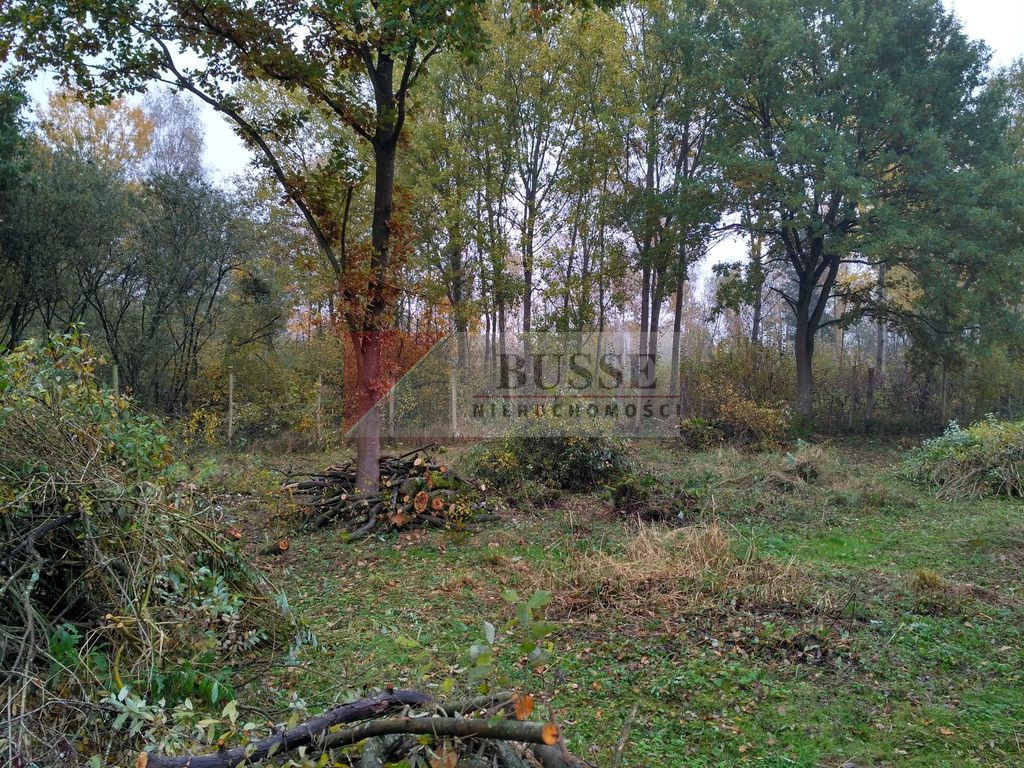 Działka Sprzedaż Grębowo 2