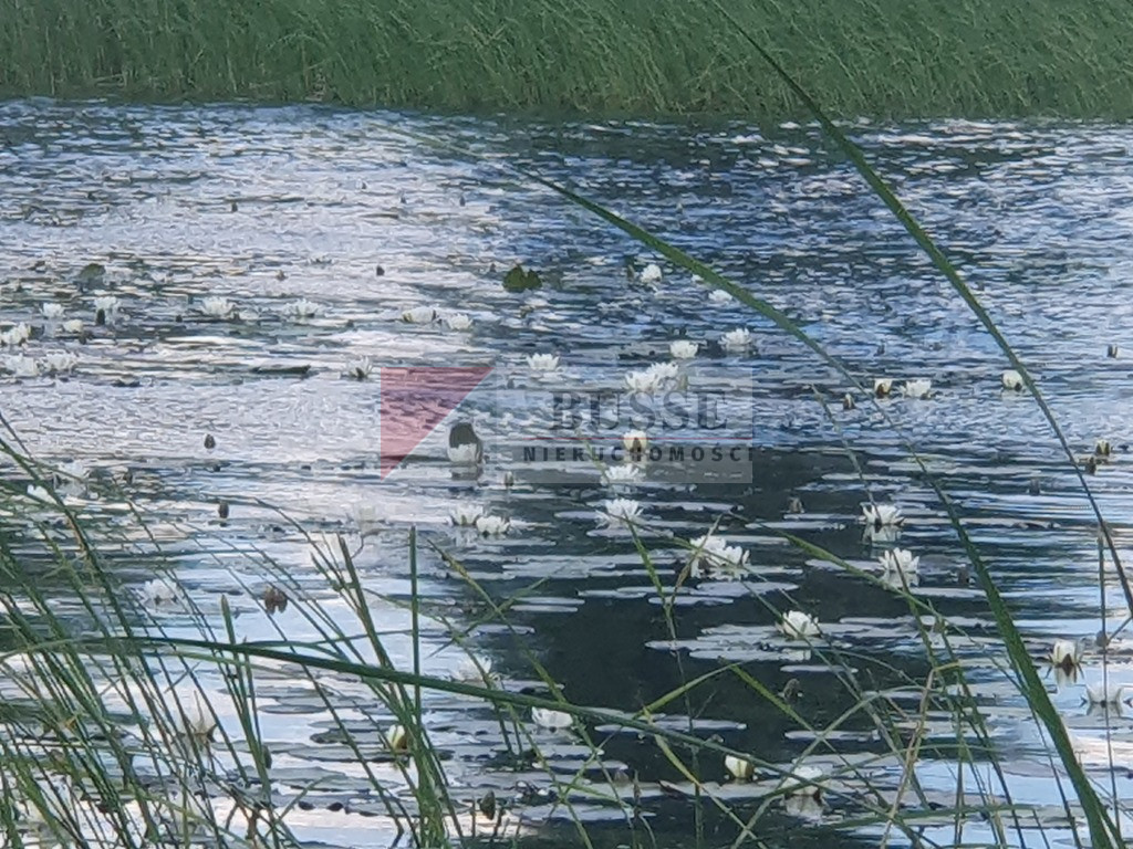 Działka Sprzedaż Zieleniewo 5