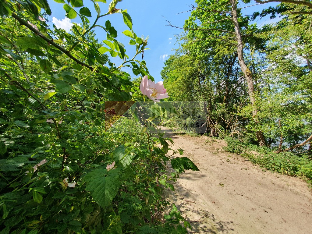 Działka Sprzedaż Zieleniewo 4