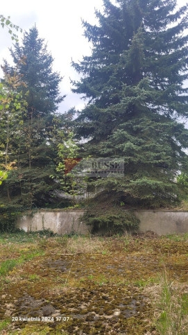 Działka Sprzedaż Recz Kolejowa 1