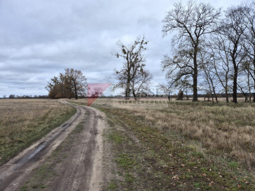Działka Sprzedaż Łęgi