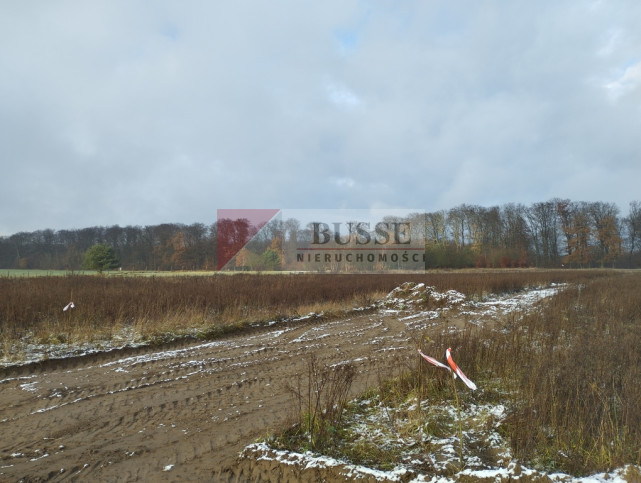 Działka Sprzedaż Dobropole Gryfińskie 3