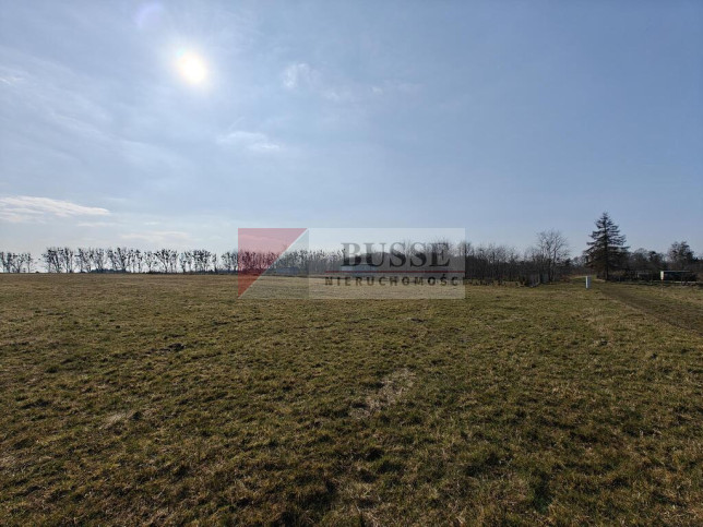 Działka Sprzedaż Stepnica 6