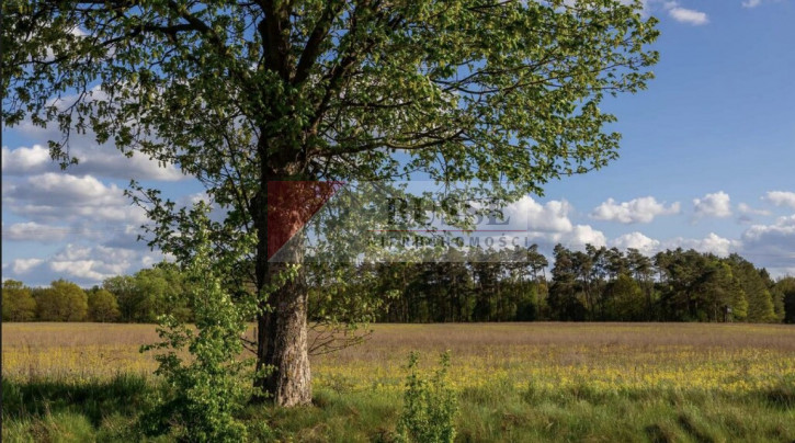 Działka Sprzedaż Jarnatów 1