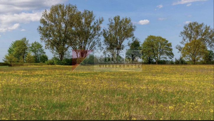 Działka Sprzedaż Jarnatów 2